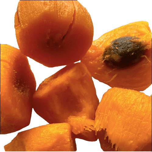 CHONTADURO,minerales como potasio y hierro, nutricional y antioxidante, BOROMIX