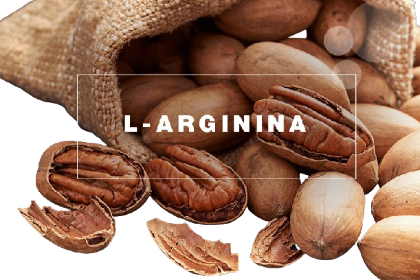 L-ARGININA-aminoácido , eliminación de amoníaco del organismo, cicatrización de heridas, BOROMIX